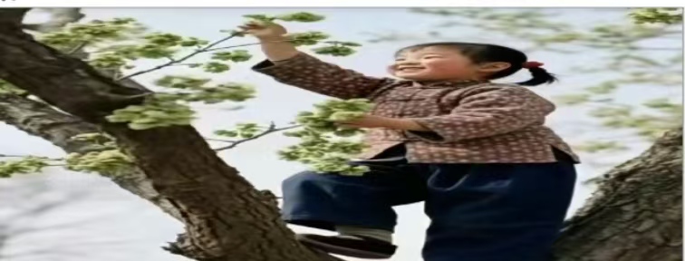 微信图片_20260518092502_286_8.jpg