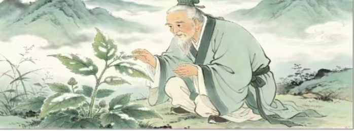 微信图片_20260606104909_351_8.jpg